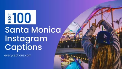 100 Best Santa Monica Instagram Captions Capture the Cali Vibe